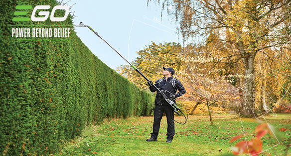 ШВИДКОРОСЛІ ЖИВІ ОГОРОЖІ ТА ЯК ЗА НИМИ ДОГЛЯДАТИ